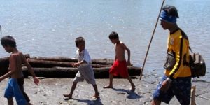 Mangrove Map Lakukan Pemetaan Mangrove di Sulawesi