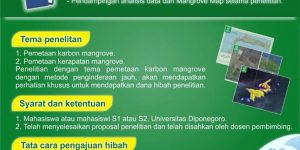 Ayo Ikuti, Program Hibah Penelitian Mangrove dari Mangrove Map