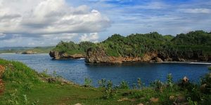 Mangrove Map Survei Mangrove di Pacitan