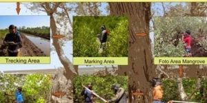 Metode Survei Pemetaan Mangrove