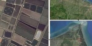 Mangrove Map Petakan Mangrove Pemalang