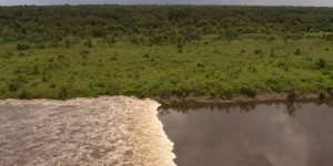 Mangrove Map Petakan Mangrove, Suhu dan TSS Sungai Kampar, Riau