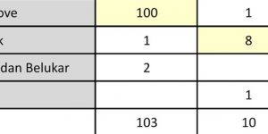 Uji Akurasi Pemetaan Mangrove