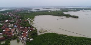 Foto Udara dan Pemetaan Mangrove