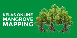 Webinar Mangrove Mapping